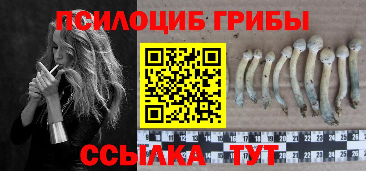 Рузаевка  Галлюциногенные грибы MAGIC MUSHROOMS  Вход с VPN 